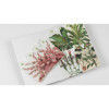 Cahier scrapbooking - Histoire naturelle - Cartes, enveloppes, autocollants - Pepin
