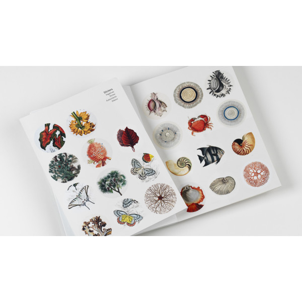 Cahier scrapbooking - Histoire naturelle - Cartes, enveloppes, autocollants - Pepin