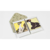 Cahier scrapbooking - Art Nouveau - Cartes, enveloppes, autocollants - Pepin