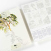 Livre de coloriage - Beaux-arts - Adulte - Aquarelle et crayons - Illustrations de paysages - 12 modèles