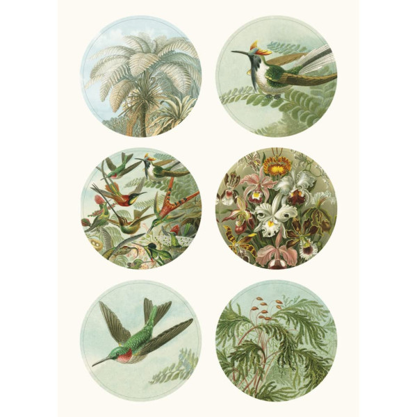 Livret d'étiquettes et stickers - Illustrations nature - Scrapbooking - 32 feuilles - 250 étiquettes