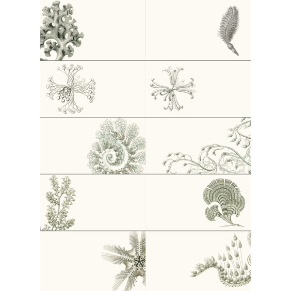 Livret d'étiquettes et stickers - Illustrations nature - Scrapbooking - 32 feuilles - 250 étiquettes