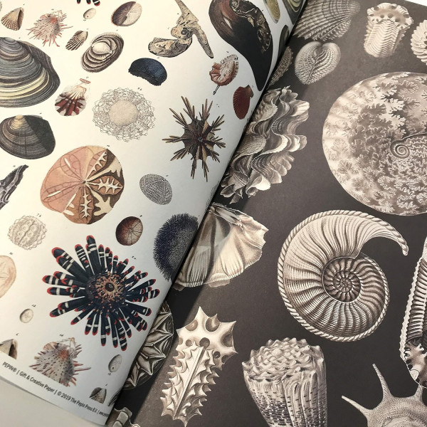 Papiers créatifs - Illustrations marine - Scrapbooking - 12 feuilles - 50x70cm