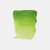 Peinture aquarelle - Extra-fine - Vert jaune permanent - 633 - Rembrandt - Tube 10ml