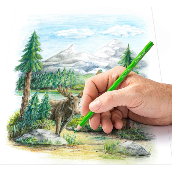 12 crayons de couleur - Beaux-arts - Coloris assortis - Design Journey - Staedtler