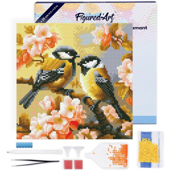 photo-Diamond painting - Support cadre en toile - Modèle couple d'oiseaux - 25x25cm - Figured'Art