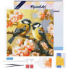 photo-Diamond painting - Support cadre en toile - Modèle couple d'oiseaux - 25x25cm - Figured'Art