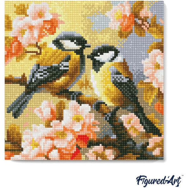 Diamond painting - Support cadre en toile - Modèle couple d'oiseaux - 25x25cm - Figured'Art