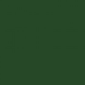 Bombe de peinture Belton Spectral RAL6002 vert feuillage 400ml