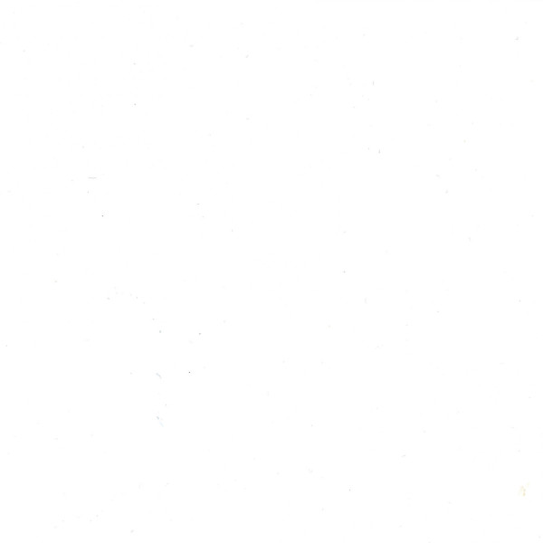 Encre aquarelle - Blanc - Pébéo - Colorex - Calligraphie, dessin - 250ml