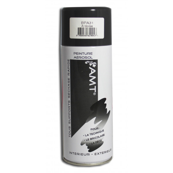 Acheter Bombe de peinture - ardoise - Amt