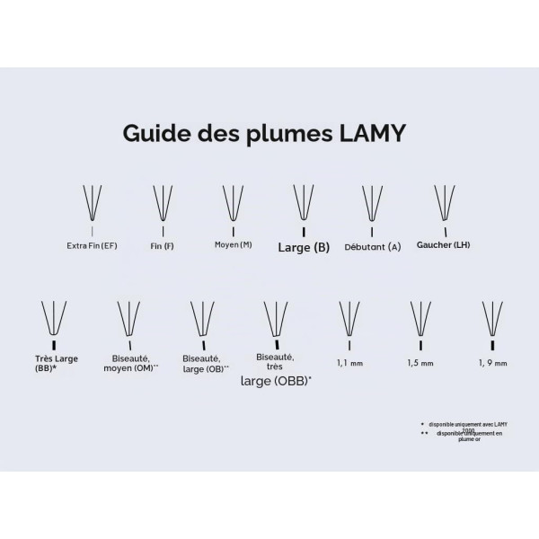 Plume de rechange pour porte-plume ou stylo plume - Métal - Z50 Joy 1.9 - Lamy