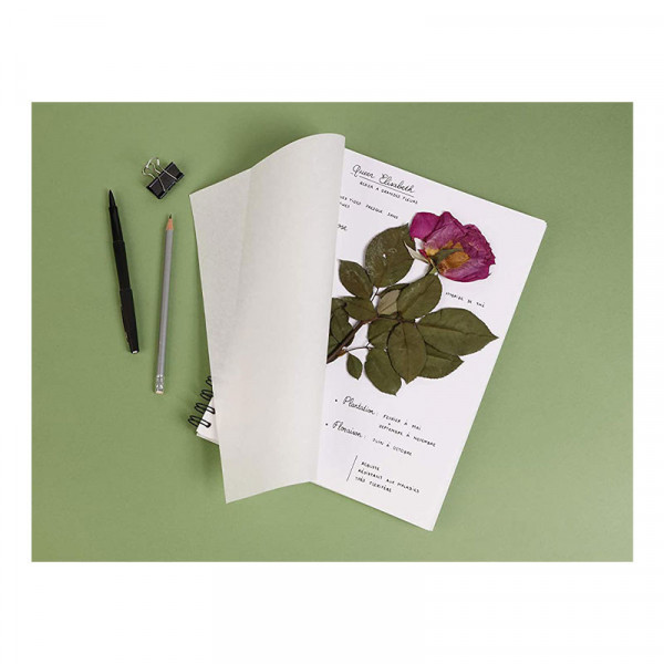 Carnet à spirale Herbier - A4 - 64 pages - Clairefontaine