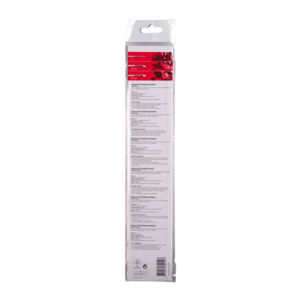 Set de 5 pinceaux en soie de porc – ronds, langues de chat et plats