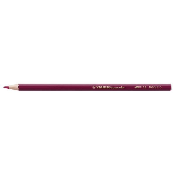 Etui carton de 36 crayons de couleur aquarellables STABILOaquacolor ARTY