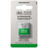 Aquarelle Professionnelle Extra-Fine - 1/2 Godet - Vert cinabre - 420 - Winsor Et Newton