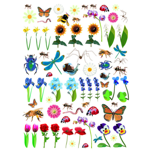 photo-Gommettes - Nature - Insectes - Fleurs - Plantes - 138 pièces