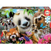 photo-Puzzle - Le selfie des animaux - 300 pièces - Educa