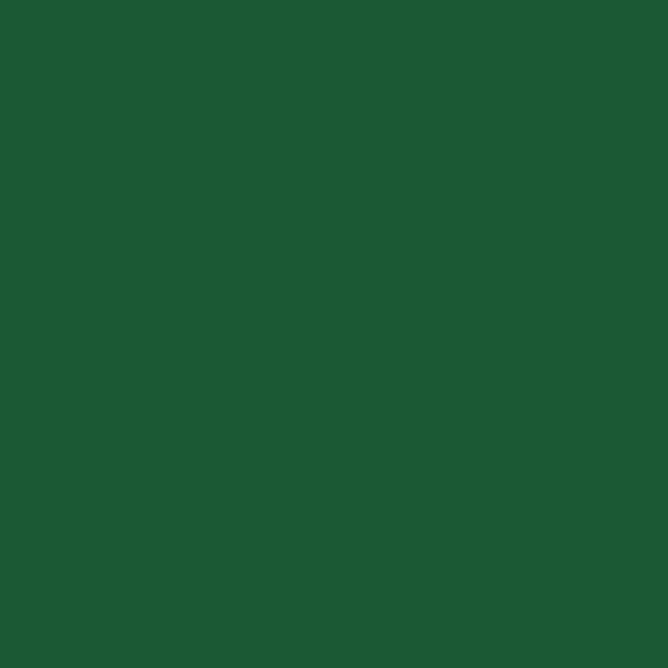 Bombe de peinture Belton Spectral RAL6024 Vert signalisation 400ml