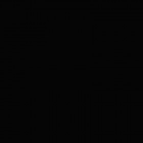 Bombe de peinture Belton Spectral RAL9017 Noir signalisation 400ml