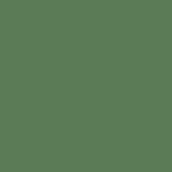 6 cartouches d'encre - Vert empire - Pour stylos plume et roller - Herbin