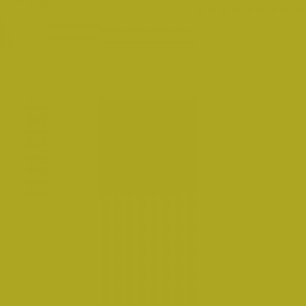 Encre pour stylos plume - Calligraphie - Vert olive - Herbin - Flacon 10ml