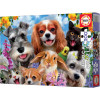 Puzzle - 200 pièces - Le selfie des animaux - Chien - Chat - Dès 6 ans - Educa