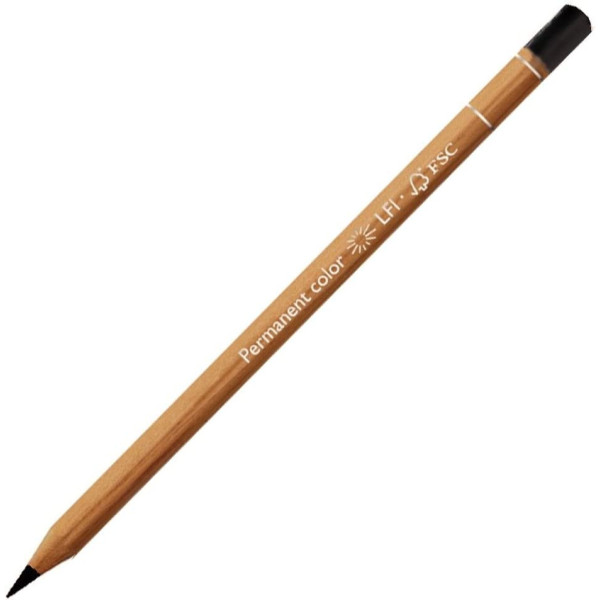 photo-Crayon de couleur - Blanc - Carand'Ache - Luminance 6901