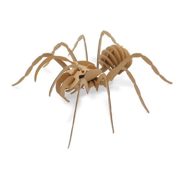 photo-Araignée en carton - A assembler - CTOP