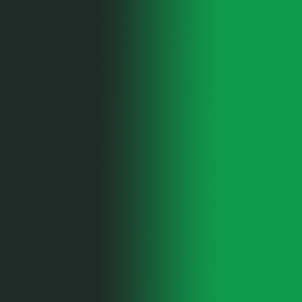 Sennelier - Peinture à l'huile - Extra-fine - Vert olive - N°813 - Tube de 40ml