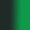 Sennelier - Peinture à l'huile - Extra-fine - Vert olive - N°813 - Tube de 40ml