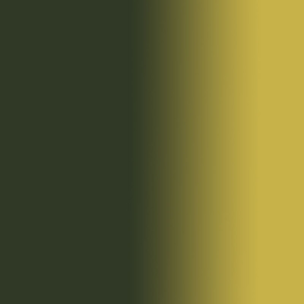Sennelier - Peinture à l'huile - Extra-fine - Vert cinabre clair - N°827 - Tube de 40ml