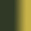 Sennelier - Peinture à l'huile - Extra-fine - Vert cinabre clair - N°827 - Tube de 40ml