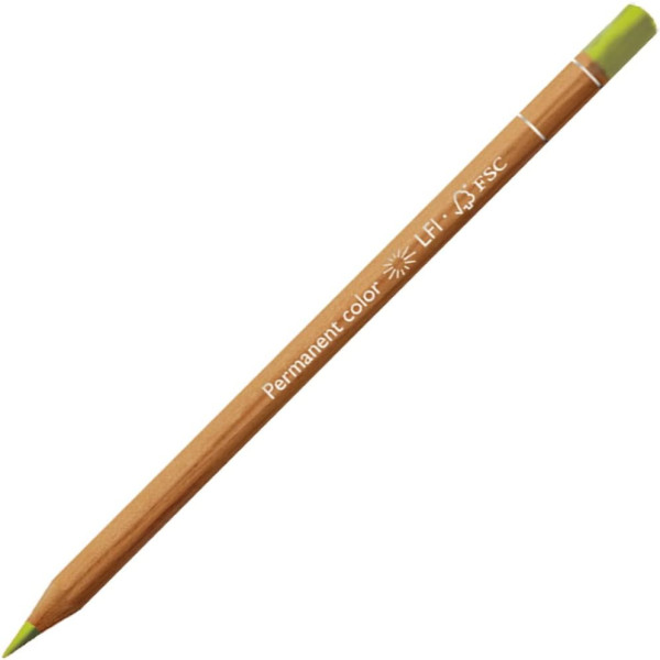 photo-Crayon de couleur - Jaune Olive - Carand'Ache - Luminance 6901