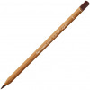 photo-Crayon de couleur - Sienne brûlée - Carand'Ache - Luminance 6901
