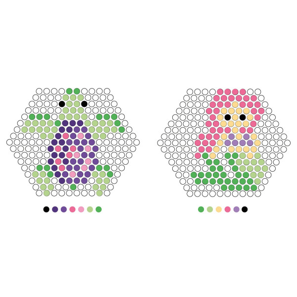 Perles d'eau - Perles magiques - Kit loisirs créatifs - Sirène - Tortue
