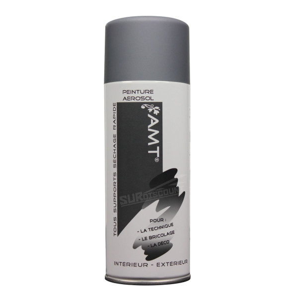 Photo - Bombe de peinture - Gris mat - AMT - 330ml