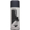 photo - Bombe de peinture - Ardoise - AMT - 330ml