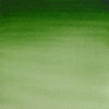 Tube de peinture aquarelle fine - Vert Hooker Clair - Cotman - Winsor & Newton - 8ml