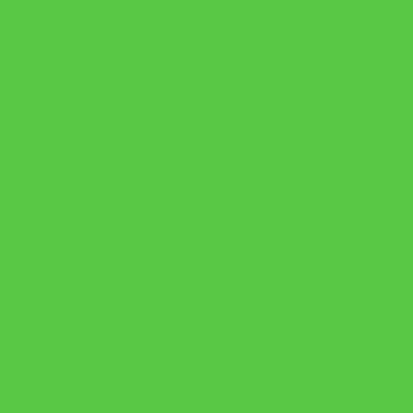 Pâte à modeler - Vert - Cléopâtre - WePAM