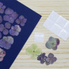 Pastilles adhésives - Transparent - Colle forte - Cléopâtre - Cléotops fort