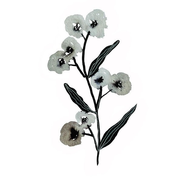 Encre de chine - Noir - Petit flacon de 55ml - Cléopâtre