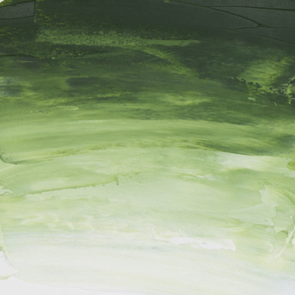 Peinture à l'huile - Sennelier - Rive Gauche - Vert de Vessie - 819 - Tube de 40ml