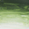 Peinture à l'huile - Sennelier - Rive Gauche - Vert de Vessie - 819 - Tube de 40ml