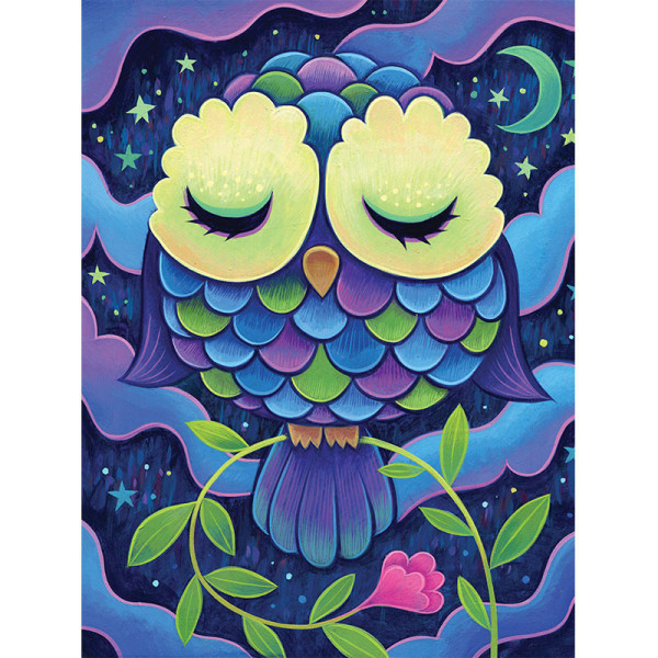 photo-Kit de diamond painting - Modèle hibou - Midnight owl - 40x30cm