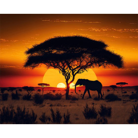 photo-Kit de diamond painting - Paysage de la savane - Coucher de soleil - 40x50cm