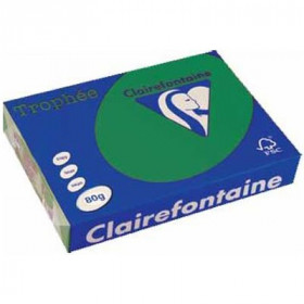 250 feuilles A4 - 160g - Couleur vives - Vert Sapin - Trophée Clairefontaire