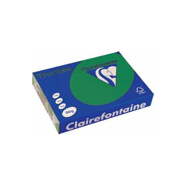 250 feuilles A4 - 160g - Couleur vives - Vert Sapin - Trophée Clairefontaire