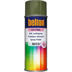photo-Bombe de peinture Belton Spectral RAL6013 vert jonc 400ml