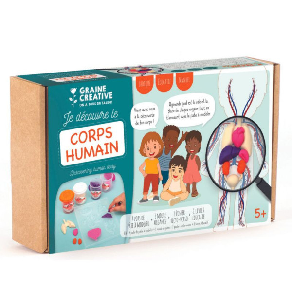 Coffret - Découvre le corps humain - Pâte à modeler - Enfant dès 5 ans